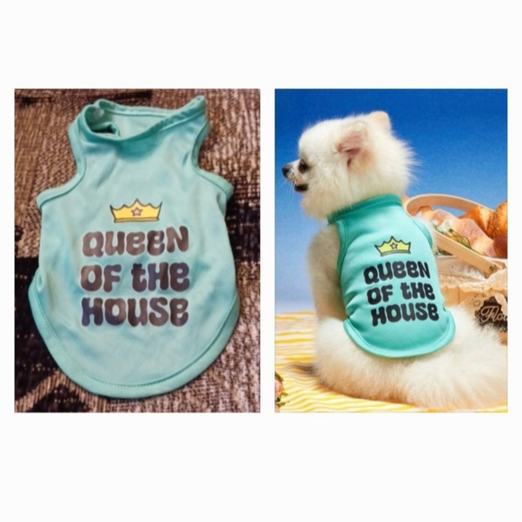 4/$40 New Green Dog Tank Top - Size Small - Picture 1 of 5